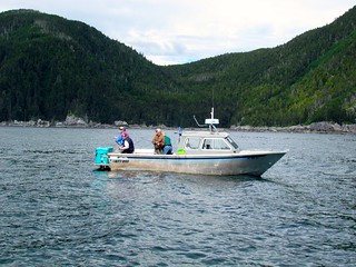 Alaska Fishing Resort 28