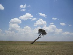 IMG_2701