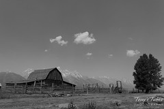 T. A. Moulton's barn is scene with the Grand Tetons in the background