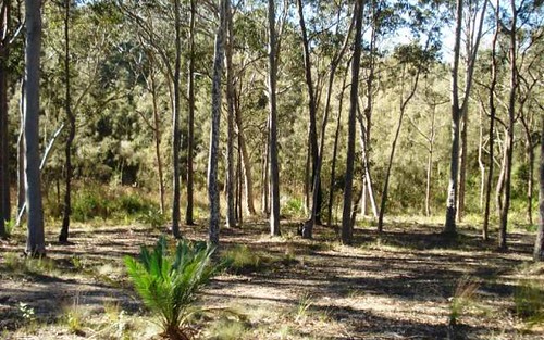 9 Banksia Grove, Malua Bay NSW
