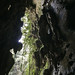 Vinales Caves • <a style="font-size:0.8em;" href="https://www.flickr.com/photos/40181681@N02/14597434320/" target="_blank">View on Flickr</a>