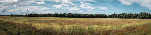 A panorama shot of a pictureque field during one of my bike rides. • <a style="font-size:0.8em;" href="http://www.flickr.com/photos/96277117@N00/14813353193/" target="_blank">View on Flickr</a>
