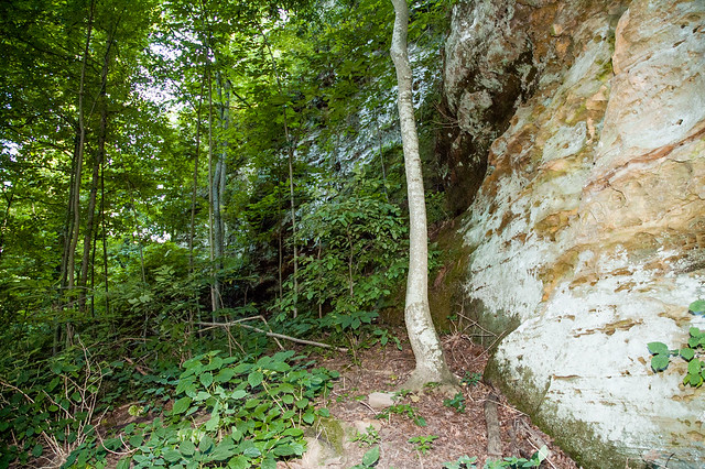 Bluffs of Beaver Bend Nature Preserve - August 3, 2014
