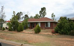 17 hass, Oakey QLD