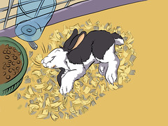 Bunnicula • <a style="font-size:0.8em;" href="https://www.flickr.com/photos/75808108@N02/14881243105/" target="_blank">View on Flickr</a>