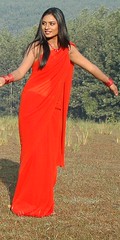 South Actress Deepika Das Hot in Red Sari Photos Set-5 (15)