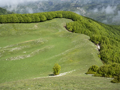 Escursionismo App. Lucano - Monte del Papa