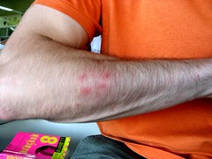 IMG_2025