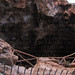 Grotta della Serratura - alto
