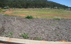 Lot 2, Surveyor Place and Monoras Court, Beecher QLD