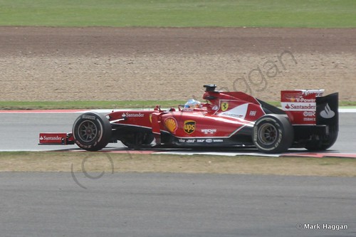 Fernando Alonso during The 2014 British Grand Prix