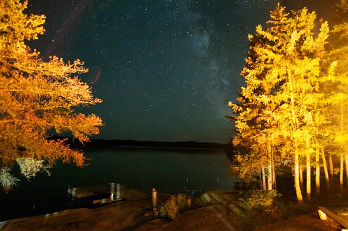 Milky Way and fire-lit trees