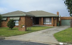492 Laramee Drive, Lavington NSW