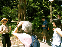 Tour guide explaining rare donated tree • <a style="font-size:0.8em;" href="http://www.flickr.com/photos/34843984@N07/14925260783/" target="_blank">View on Flickr</a>