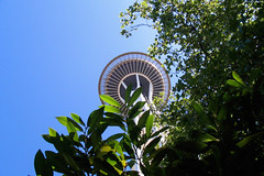Top of Space Needle above green leaves • <a style="font-size:0.8em;" href="http://www.flickr.com/photos/34843984@N07/15359812950/" target="_blank">View on Flickr</a>