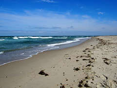 The beaches along Marthas Vineyard. The movies Jaws where also filmed here.