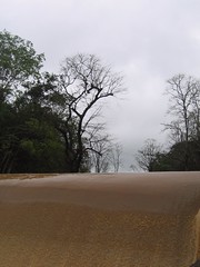 Kollibacchalu Dam -Malenadu Heavy Rain Effects Photography By Chinmaya M.Rao (67)
