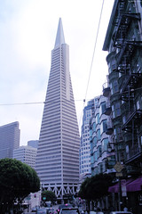 Transamerica Pyramid towering above • <a style="font-size:0.8em;" href="http://www.flickr.com/photos/34843984@N07/15360543650/" target="_blank">View on Flickr</a>