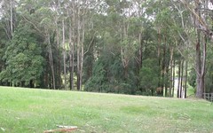 Lot 3, Picketts Valley Road, Picketts Valley NSW