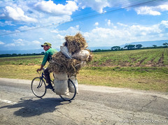A Cuban soldier, riding with a heavy load.
