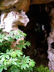 Green overgrowth around cave passage • <a style="font-size:0.8em;" href="http://www.flickr.com/photos/34843984@N07/15359168268/" target="_blank">View on Flickr</a>