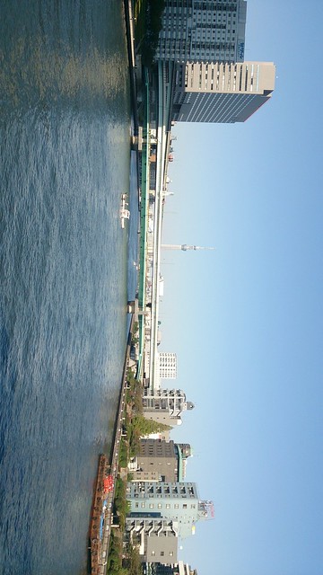 写真４：永代橋より