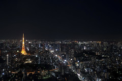 Vistas de Tokio desde la Torre Mori • <a style="font-size:0.8em;" href="http://www.flickr.com/photos/72349947@N00/15560445831/" target="_blank">View on Flickr</a>