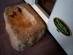Huge Apatosaurus footprint • <a style="font-size:0.8em;" href="http://www.flickr.com/photos/34843984@N07/14919301184/" target="_blank">View on Flickr</a>