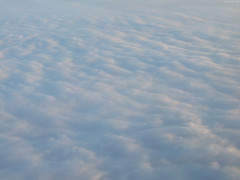 Soft bed of clouds • <a style="font-size:0.8em;" href="http://www.flickr.com/photos/34843984@N07/15353814658/" target="_blank">View on Flickr</a>