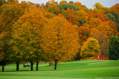 Autumn Golf • <a style="font-size:0.8em;" href="http://www.flickr.com/photos/65051383@N05/15366677200/" target="_blank">View on Flickr</a>