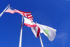 USA, California & Apple flags • <a style="font-size:0.8em;" href="http://www.flickr.com/photos/34843984@N07/15360272637/" target="_blank">View on Flickr</a>