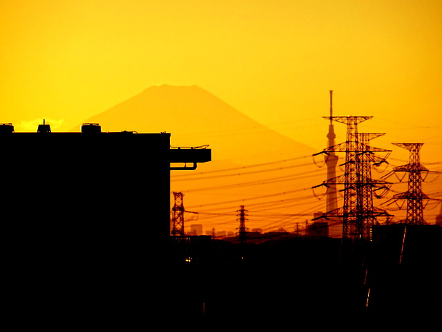 今日は、EASTの開放廊下からも富士山が...