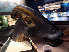 Hadrosaur head sculpture • <a style="font-size:0.8em;" href="http://www.flickr.com/photos/34843984@N07/15540053815/" target="_blank">View on Flickr</a>