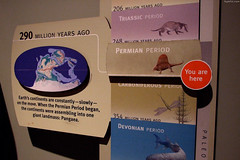 Continents at the Permian Period • <a style="font-size:0.8em;" href="http://www.flickr.com/photos/34843984@N07/15353432659/" target="_blank">View on Flickr</a>