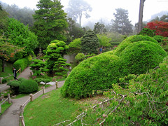 Japanese Garden paths leading by trimmed bonsai • <a style="font-size:0.8em;" href="http://www.flickr.com/photos/34843984@N07/15522848266/" target="_blank">View on Flickr</a>