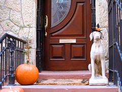Stone Dog with Halloween Hat • <a style="font-size:0.8em;" href="http://www.flickr.com/photos/34843984@N07/15361109570/" target="_blank">View on Flickr</a>