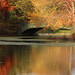 Lullwater Bridge, Fall • <a style="font-size:0.8em;" href="http://www.flickr.com/photos/124925518@N04/30167084982/" target="_blank">View on Flickr</a>