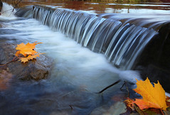 Autumn Cascade - Sixteen Mile Creek