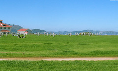 Marines training near Crissy Field • <a style="font-size:0.8em;" href="http://www.flickr.com/photos/34843984@N07/15360286808/" target="_blank">View on Flickr</a>