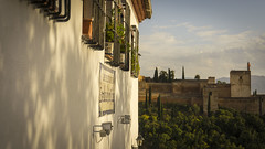 Alhambra at background