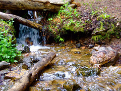 Tiny waterfall over small pebbles in the stream • <a style="font-size:0.8em;" href="http://www.flickr.com/photos/34843984@N07/15358494449/" target="_blank">View on Flickr</a>