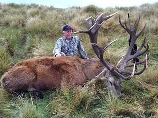 New Zealand Red Stag Hunting - Christchurch 41