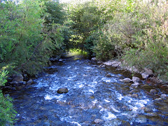 White water of Big Sur river • <a style="font-size:0.8em;" href="http://www.flickr.com/photos/34843984@N07/15360530080/" target="_blank">View on Flickr</a>