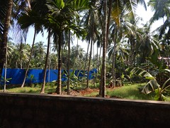 Villages Near Calicut Kerala Photography By CHINMAYA M (22)