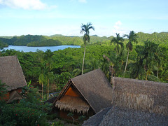 Palau - Palau Plantation Resort