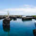 2015-08-18-13h31m26-Galapagos • <a style="font-size:0.8em;" href="http://www.flickr.com/photos/25421736@N07/20639358049/" target="_blank">View on Flickr</a>