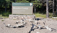 Brooks Camp at Katmai National Park