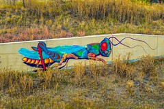Cool grafitti in Denver, CO