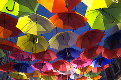 Umbrella's by night