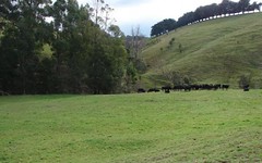 Lot 2 CLEAR CREEK VALLEY ROAD, Mirboo VIC